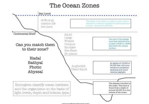 Ocean Current Worksheet Answer Key and 36 Best Oceans Images On Pinterest