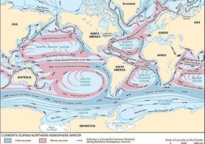 Ocean Surface Currents Worksheet or Ocean Current