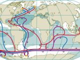 Ocean Surface Currents Worksheet together with Accc Earth Science Wiki Effects Of Salinity On Ocean Current