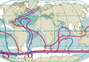 Ocean Surface Currents Worksheet together with Accc Earth Science Wiki Effects Of Salinity On Ocean Current