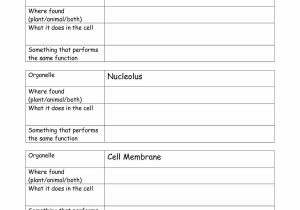 Onion Cell Mitosis Worksheet Answers together with Inside the Cell Worksheet Answers Best 710 Best Cells