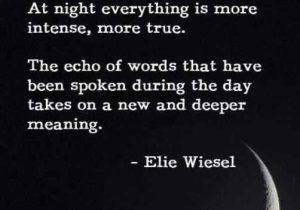 Oprah and Elie Wiesel at Auschwitz Worksheet Answer Key Also 21 Best Night by Elie Weisel Images On Pinterest