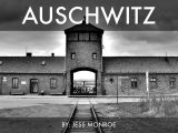 Oprah and Elie Wiesel at Auschwitz Worksheet Answers or Auschwitz by Jessica Monroe