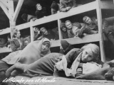 Oprah Elie Wiesel Auschwitz Death Camp Worksheet Answers as Well as Auschwitz Birkenau De Rumbo Por El Mundo