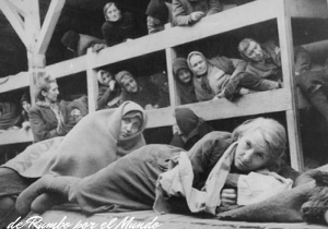 Oprah Elie Wiesel Auschwitz Death Camp Worksheet Answers as Well as Auschwitz Birkenau De Rumbo Por El Mundo