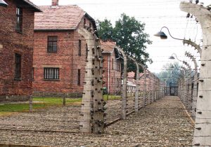 Oprah Elie Wiesel Auschwitz Death Camp Worksheet Answers or Cuefidelitytk