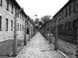 Oprah Elie Wiesel Auschwitz Death Camp Worksheet Answers with Antisemitism How the origins Of Worlds Oldest Hatred Still
