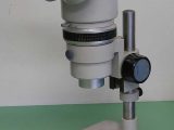 Optical Microscopes Worksheet Along with Microscopy Wikiwand