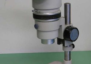 Optical Microscopes Worksheet Along with Microscopy Wikiwand