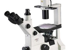 Optical Microscopes Worksheet Also Exi 300 Inverted Microscope