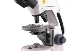 Optical Microscopes Worksheet as Well as 16 Best Parts Of the Microscope Images On Pinterest
