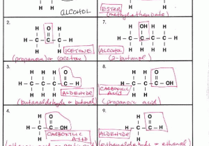 Organic Chemistry Worksheet with Answers Along with Worksheets 48 Best Nomenclature Worksheet High Resolution