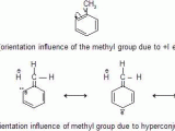 Organic Compounds Worksheet Answers as Well as organic Chemistry why Methyl Group is 2 4 Directing