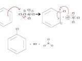 Organic Compounds Worksheet Answers or Halogenation Of Benzene the Need for A Catalyst Chemwiki