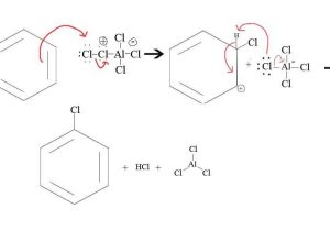 Organic Compounds Worksheet Answers or Halogenation Of Benzene the Need for A Catalyst Chemwiki