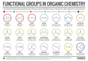 Organic Compounds Worksheet Answers or Pound Interest Functional Groups In organic Pounds
