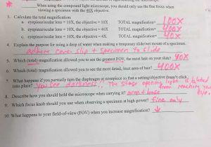 Organic Compounds Worksheet Biology Answers Along with Power Place Worksheet Answers Kidz Activities
