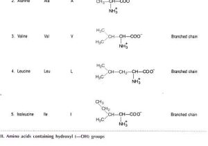 Organic Molecules Worksheet Review and Biomolecules top 4 Classes Of Biomolecules