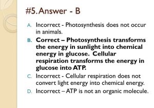Organic Molecules Worksheet Review with Keystone Quizzo Module A Ppt