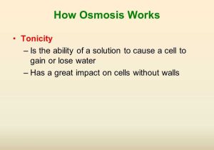 Osmosis and tonicity Worksheet Also Osmosis and tonicity Worksheet Best Beautiful Cell Membrane