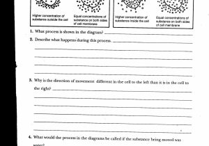 Osmosis Jones Video Worksheet with Diffusion Osmosis Worksheet Gallery Worksheet Math for Kids