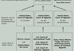 Our Courts the Judicial Branch Worksheet and 32 Best Judicial Branch Images On Pinterest