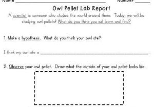 Owl Pellet Dissection Worksheet as Well as 24 Best Owl Pellet Lab Images On Pinterest