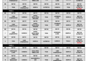 P90x Shoulders and Arms Worksheet and P90x Lean First 90 Days that I Am Doing Fitness