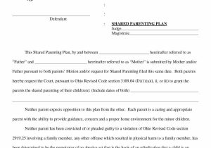 Parenting Plan Worksheet and Sample Parenting Plan Agreement New Free Parent Child Contract