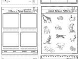 Parts Of A Check Worksheet Also 964 Best Classroom Ideas Images On Pinterest