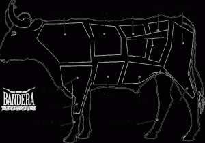 Parts Of A Dairy Cow Worksheet together with Funky Beef Cattle Anatomy Embellishment Anatomy Ideas Yunokifo