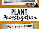 Parts Of A Flower Worksheet Also Plant Investigation Unit All About Plants Life Cycle and Needs