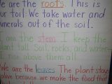Parts Of A Flower Worksheet and Plant Chant to Remember the Parts Of A Plant