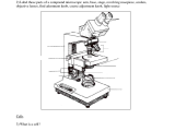 Parts Of A Microscope Worksheet Answers and Microscope to Label Worksheets Printable Worksheets Dinocrofo