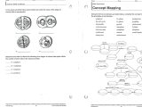 Parts Of A Microscope Worksheet Answers together with Metaphase Diagram Labeled New Diagram Metaphase Unique Mitosis