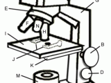 Parts Of A Microscope Worksheet together with Microscope Coloring