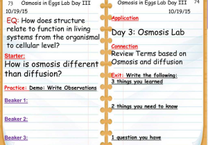 Passive Transport Worksheet with Explain Osmosis Cell Transport Worksheet Biology Answers Pas