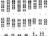 Patterns Of Inheritance Worksheet Answers or Human Genetic Variation