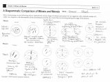 Pearson Education Inc Worksheet Answers and Mitosis Worksheet Answers Choice Image Worksheet for Kids In English