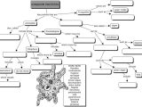 Pearson Education Science Worksheet Answers Along with Kingdom Protista Concept Map