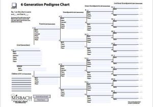 Pedigree Charts Worksheet Answers Also 10 Pedigree Chart Templates Pdf Doc Excel