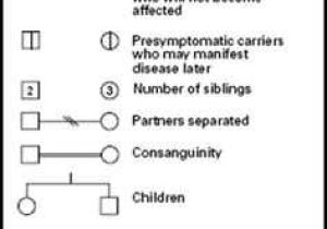 Pedigree Charts Worksheet Answers as Well as Chart Illnesses or Genetic Traits Among Siblings Half Siblings