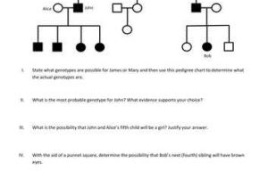 Pedigree Charts Worksheet Answers or Genetics Pedigree Worksheet
