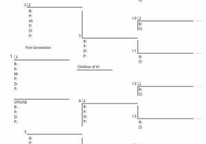 Pedigree Charts Worksheet Answers or Genetics Pedigree Worksheet Worksheet Math for Kids