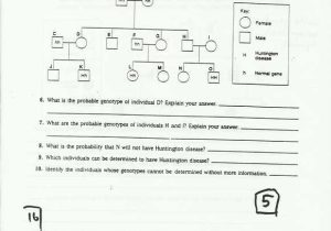 Pedigree Charts Worksheet Answers with Pedigree Practice Worksheets Worksheets for All