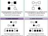 Pedigree Practice Problems Worksheet as Well as 392 Best Genetics Images On Pinterest