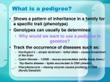 Pedigree Worksheet 3 Hemophilia the Royal Disease Answers Along with 100 Pedigree Analysis Worksheet Mandal U0027s Desk Electric