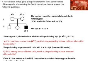 Pedigree Worksheet 3 Hemophilia the Royal Disease Answers with Scheda 4 Linkage Ppt