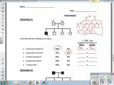 Pedigree Worksheet Biology Also Genetics Practice Problems Simple Worksheet Super Teacher