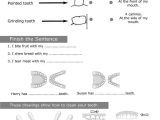 Personal Hygiene Worksheets Middle School together with 8 Best Personal Hygiene Images On Pinterest
